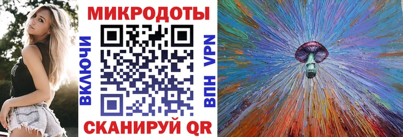 Псилоцибиновые грибы Psilocybine cubensis  Новоульяновск 